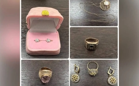 Түркістан облысында немересі әжесін тонап кетті