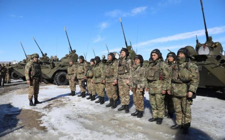 Кенеттен тексеріс: Десанттық-шабуылдау әскерлері дабылмен көтерілді