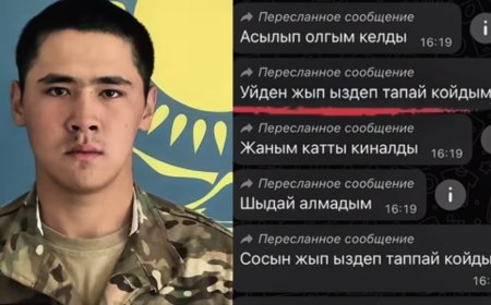 «Асылып өлгім келді»: Жағы сынған сарбаздың жазған хаттары тарады