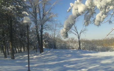 Шымкент дендросаябағында адамның мәйіті табылды