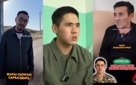 «Gorilla әпермегені үшін жағын сындырған»: Отарда соққыға жығылған сарбаз туралы  тың деректер шықты