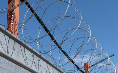 Төрт пәтер, он бір көлік: Көкшетауда субсидияны жымқырғандар сотталды