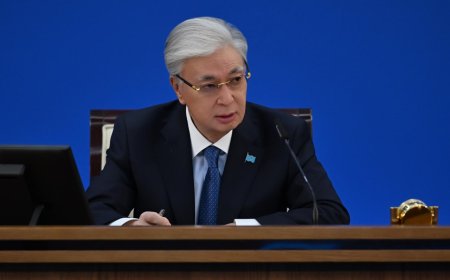 Тоқаев шұғыл шаралар жоспарын әзірлеуді тапсырды