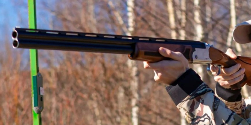 Бурабайда қаңғыбас иттерге атылған оқ адамға тиді