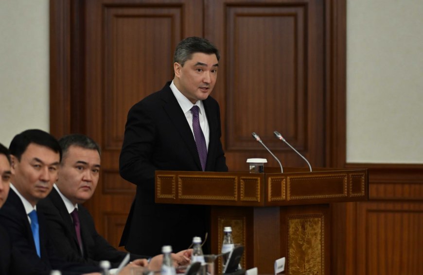 «288 млрд теңгенің тиімсіз игерілуіне тосқауыл қойылды» – Бектенов