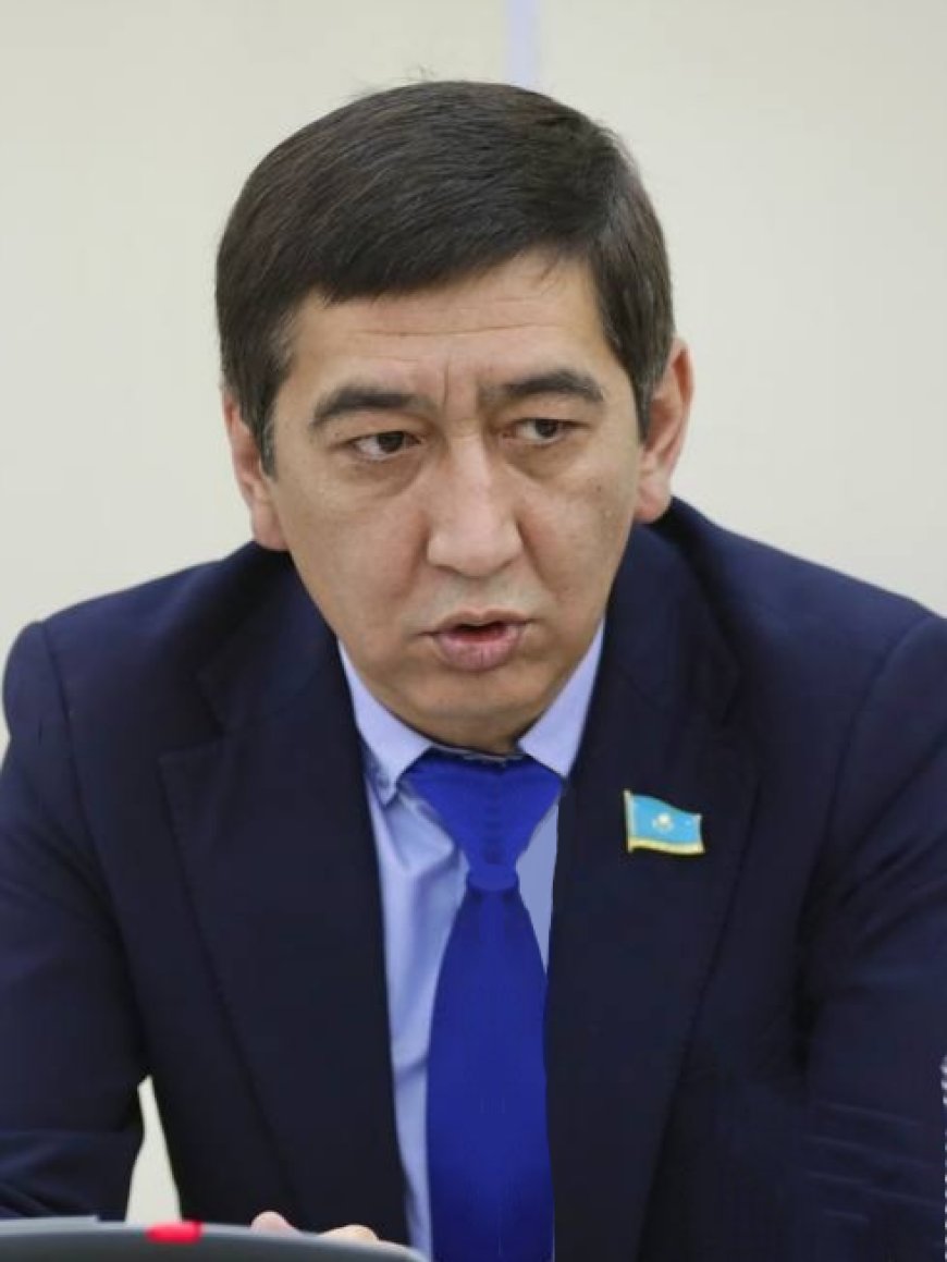 «Түсінген адамға аз жеңіс емес»: Ринат Зайыт Конституциядағы 9-бапқа қатысты пікір білдірді