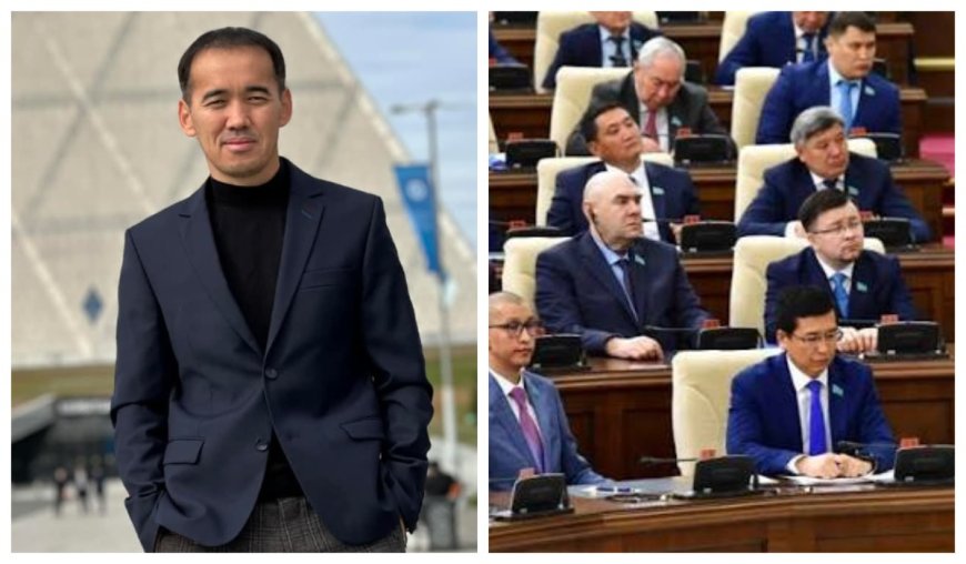 «Жаңа Конституция депутаттарға 100 пайыз ұнай салды» — Қоғам белсендісі