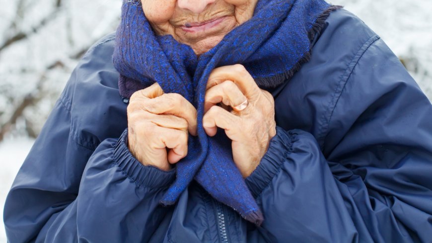 Петропавлда тағы бір зейнеткер аязда үсіп, көз жұмды