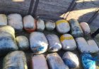 Қостанай облысында 200 келіден астам есірткі тәркіленді