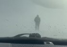 Жаяу жүріп жол көрсетті: Әулиекөл тасжолында полицейлер боранда қалған жүргізушіге көмекке келді  (ВИДЕО)