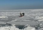 Қостанай облысында екі балықшы мұз астына құлап кеткен
