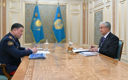Мемлекет басшысы Ішкі істер министрін қабылдады