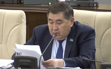 «Нағыз популизмнің үлгісі»: Ермұрат Бапи Жаңа Конституцияны сынаушылар туралы айтты (ВИДЕО)