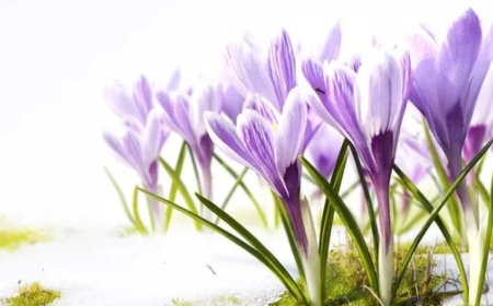 Мереке күндері елімізде ауа райы қандай болады