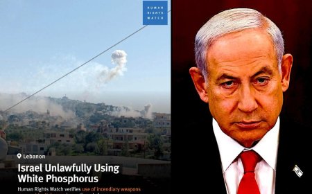 Human Rights Watch: Израиль Ливанда теріні сүйекке дейін күйдіретін ақ фосфор қолданды