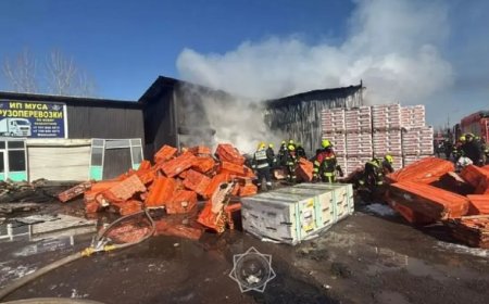 Алматыдағы барахолка базарынан ірі өрт шықты