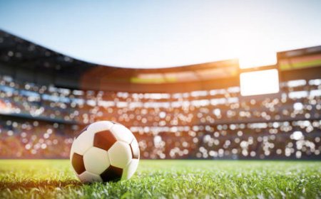 Депутат: «Футболды халықтың ақшасынан қаржыландыруға қарсымын»