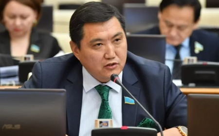 «Ішкі істер органдарын «жаппай тазалау» керек»: Бақытжан Базарбек