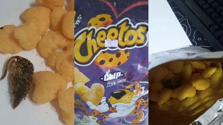 Астанада балаларға арналған снектің ішінен тышқан шықты