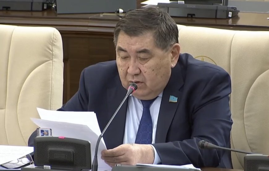 «Нағыз популизмнің үлгісі»: Ермұрат Бапи Жаңа Конституцияны сынаушылар туралы айтты (ВИДЕО)