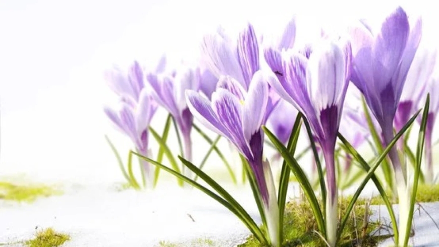 Мереке күндері елімізде ауа райы қандай болады