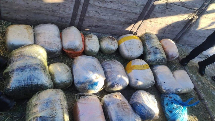 Қостанай облысында 200 келіден астам есірткі тәркіленді