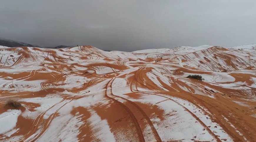 Сахарада қау жауды