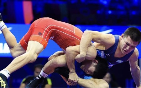 Күрес түрлерінен Азия чемпионаты: Федерация қазақстандық жанкүйерлерге үндеу жасады