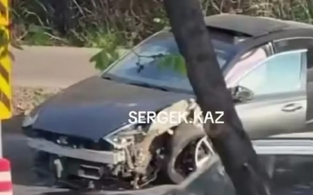 Алматыдағы Әл-Фараби даңғылында тағы да жол апаты болды