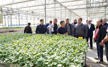 Түркістан облысында жылыжайларды экологиялық тиімді жылыту жолдары енгізілуде