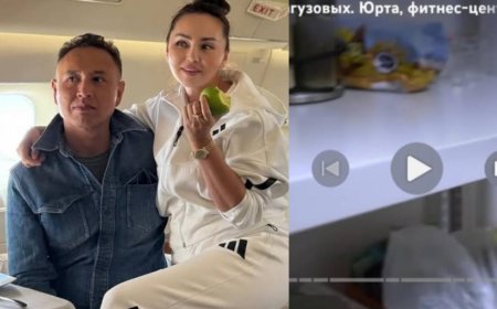 «Өзі өндіретін «Цеснаны» қолданбайды»: Алагөзовтердің әрекеті әшкере болды