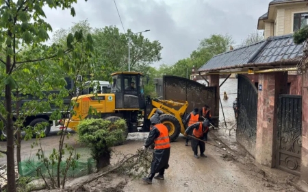 Алматыда лай көшкіні жүрді