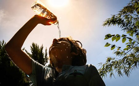 32 градус ыстық: Алдағы күндері ауа райы қандай болады