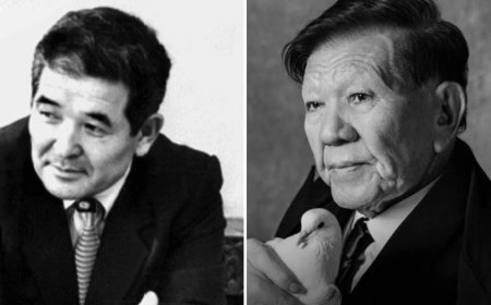 «Өзбекәлінің жанына жатқызу керек еді»: журналист Шахановқа қиянат жасалғанын айтты