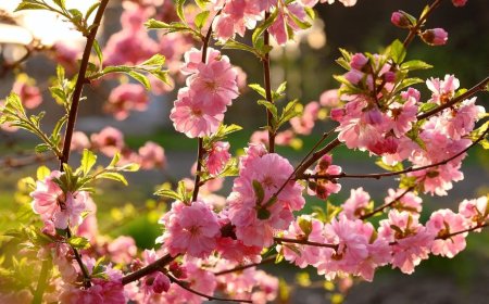 Мамыр айында ел тұрғындары неше күн демалады