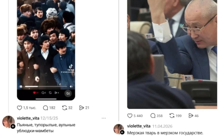 «Ауылдан келгендер»: Желтоқсаншыларды  қорлаған әйелдің үстінен қылмыс іс қозғалды