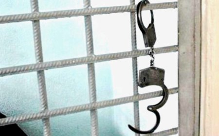 Сәбиді саудалағандар: Қызылордадағы сұмдық схема әшкереленді