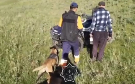 Жетісу облысында жоғалып кеткен 74 жастағы зейнеткер табылды