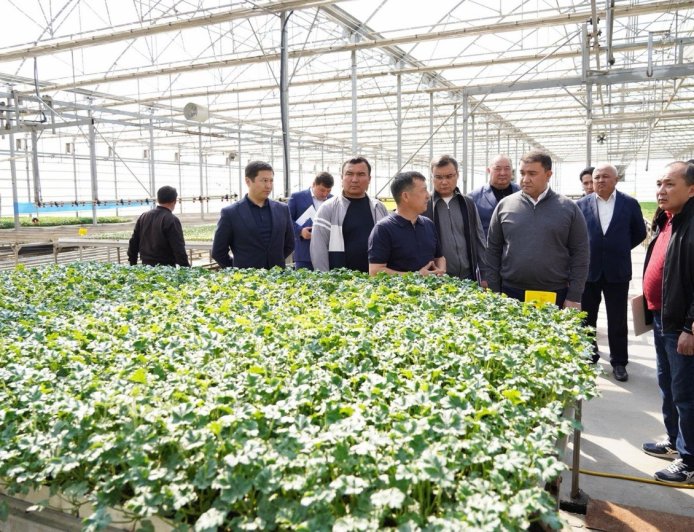 Түркістан облысында жылыжайларды экологиялық тиімді жылыту жолдары енгізілуде