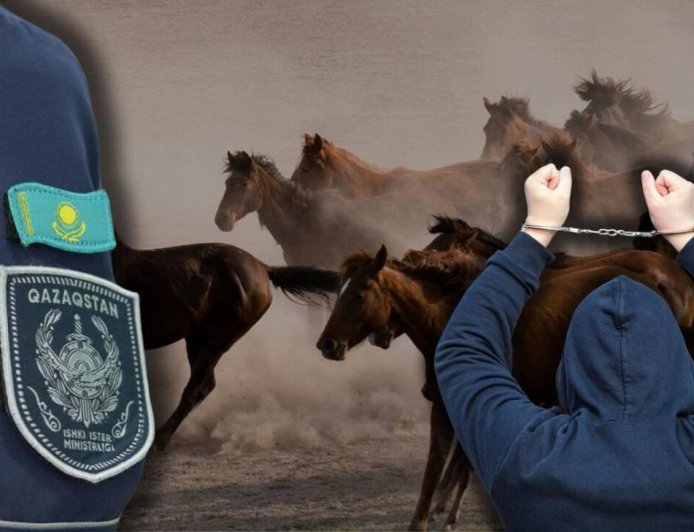 «Бақташы өзі ұрлаған»: Жетісу облысында 46 млн теңгенің мал ұрлығы әшкереленді