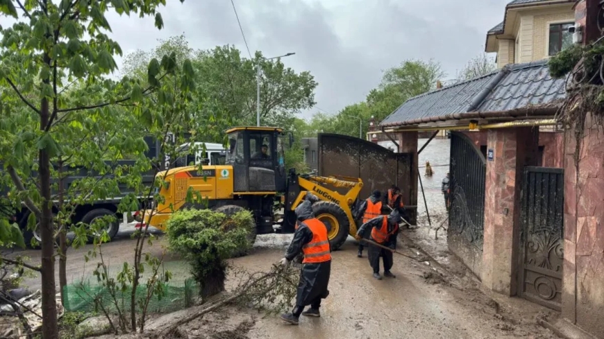 Алматыда лай көшкіні жүрді