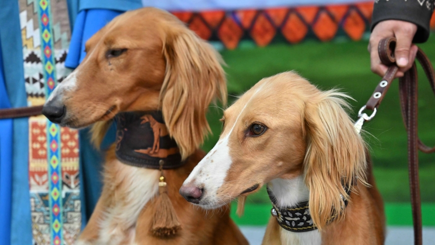 Елімізде тағы бір жаңа мереке күні пайда болады