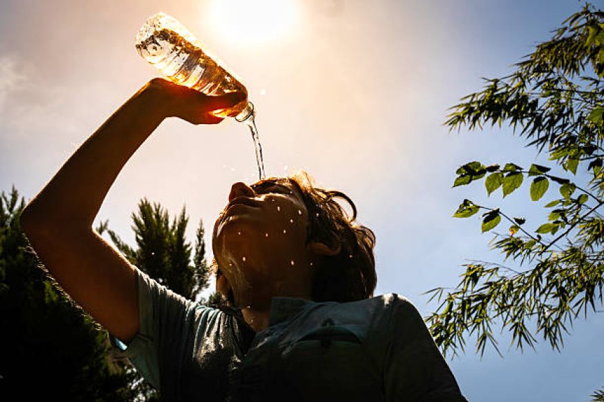 32 градус ыстық: Алдағы күндері ауа райы қандай болады