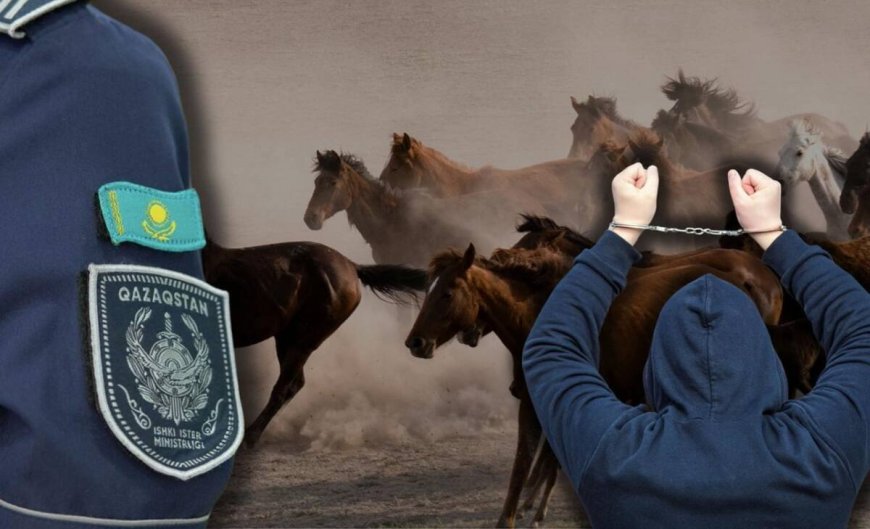 «Бақташы өзі ұрлаған»: Жетісу облысында 46 млн теңгенің мал ұрлығы әшкереленді