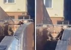 Астана тұрғыны әйелін баласының көзінше ұрып-соққан (ВИДЕО)