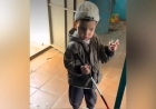 «Далаға тастап кетпейсің ғой?»: үш жасар зағип баланың видеосы шетелдіктерді жылатты