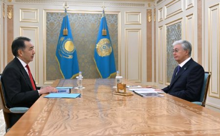 Тоқаев Сағынтаевты қабылдады