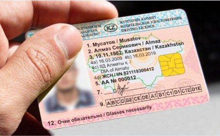 «Көлік жүргізу куәлігін алып қоямыз»: министрлік жаңа заңның талабын түсіндірді