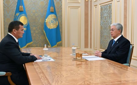 Тоқаев Нәлібаевты қабылдады