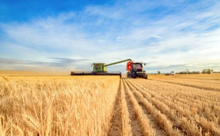 Биыл елімізде диқаншыларға 750 миллиард теңге бөлінеді